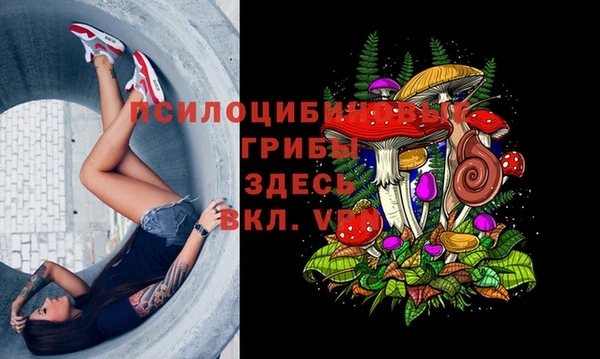 прущие крисы Кинешма